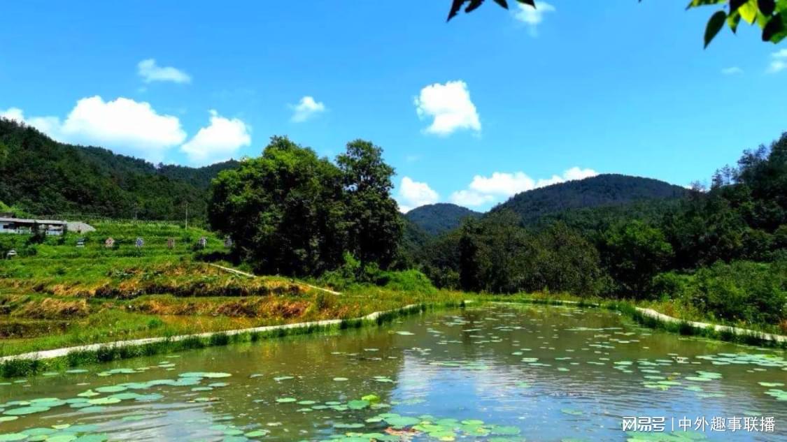 自助下单平台赞ks